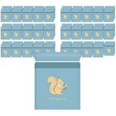 Berry Goose 車載垃圾袋 藍松鼠 15p, 6套