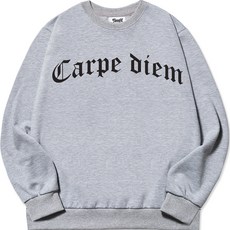 timsfit 男款 Carpe Diem 大標誌重磅大學T恤