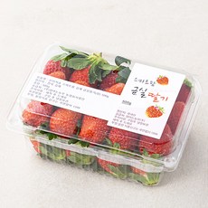 스마트팜딸기 산지직송 김제 금실딸기 상, 500g, 1개