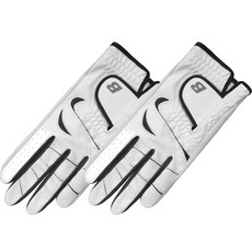 브렌스 액션B 반가죽 골프장갑 왼손착용 2p, 블랙