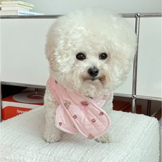 bydamsoomi 狗狗圍脖+鋪棉背心組合, 粉紅色