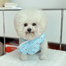 바이담수미 강아지 스튜목도리 + 패딩 세트, 블루, 1개