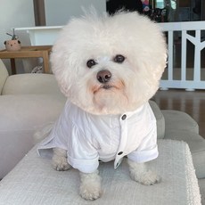 바이담수미 강아지 테니스치마 패딩, 화이트, 1개