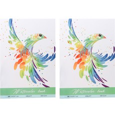 Life Quality Up專家用素描本 新 2本, 30張, A4