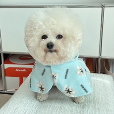 BYDAMSOOMI Puppy Pogni 連帽斗篷, 天藍色