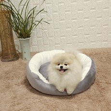 두기펫 반려동물 쏘옥 극세사 원형 방석, 그레이, 1개