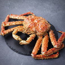 아라보감 산지직송 어제 찐 자숙 킹크랩 (냉장), 1.7kg, 1세트