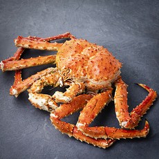 아라보감 산지직송 어제 찐 자숙 킹크랩 (냉장), 2.3kg, 1개