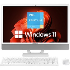 삼성전자 올인원 일체형PC 프로스트 화이트 (펜티엄골드-7505 60.5cm WIN11 Pro RAM 8GB NVMe 256GB), DM530ADA-L25AH, 기본형
