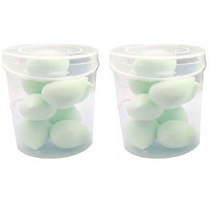 Dwiti迷你盒 2入+化妝海綿氣墊粉撲 16入, 1套, 綠色