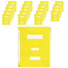PP政府文件夾, 20個, 黃色的