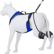 ANAFNI 寵物用胸背袋+腿套+牽繩組, 藍色