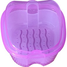 Darnina 假牙收納盒 透明紫色, 1個