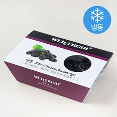 웰프레쉬 오디 (냉동), 450g, 1개