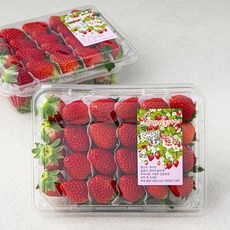 산지직송 스마트팜 김제 설향딸기, 750g, 2개