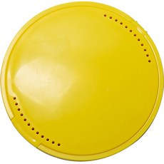 Rienvert 假牙收納鏡盒, 1個, 黃色