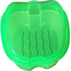 full of fun 假牙保管盒, 1個, 透明綠色