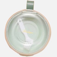 collorp 假牙保管盒 綠色, 單一商品