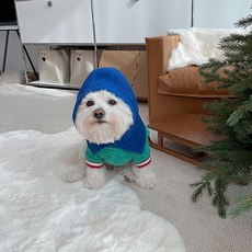 bydamsoomi 狗狗繽紛巴拉克拉瓦頭套, 藍色