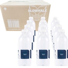 블로웨일 초순수 정제수 1L, 12개