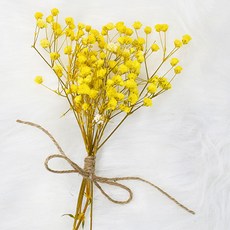 주앙오브제 리오 드라이플라워 작은 꽃다발, 07