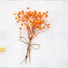 Jouet Objet Rio 乾燥花小花束, 13