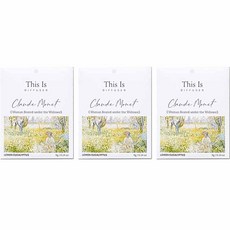 This Is Diffuser 掛式紙香氛袋 檸檬尤加利, 4g, 3個, 水果/熱帶香