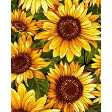 KML Holdings 3D 向日葵饗宴1 AB + 圓形 鑽石畫 DIY 套組 40 x 50 cm, 1套, 混合色