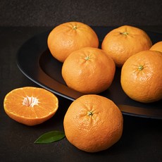 새벽경매 산지직송 제주 레드향, 1박스, 3kg