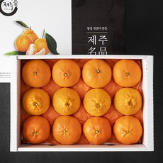 귤탐 만감류 트리플 세트, 1세트, 3kg