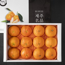 귤탐 만감류 레드 6p + 천혜 6p 세트, 1세트, 3kg