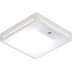 GAON LED 簡約LED感應燈 15W, 1個, 日光色(白色)