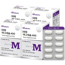 로니웰 파워 마그네슘 400, 4개, 60정