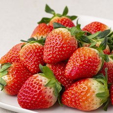 다조은 GAP 인증 의성 스마트팜 한단딸기, 500g, 1팩