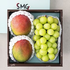 좋은하루 후숙해서 드리는 애플망고와 샤인머스켓 세트, 1.55kg, 1세트