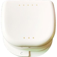 Darnina 高級假牙收納盒 白色, 1個