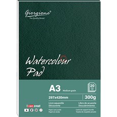 giorgione 水彩繪圖紙墊 300g A3, 20張