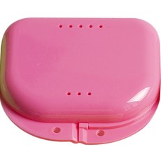리앤베르 틀니 보관 케이스 핑크, 1개