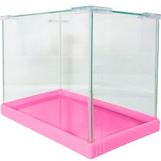 Aquatera Confetti 彩色邊框水族箱魚缸 + 玻璃蓋, 粉紅色