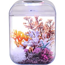 Amazon 一體式魚缸, 透明