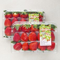 산지직송 스마트팜 김제 설향딸기, 500g(특), 2팩