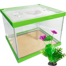 Rora Pet 繽紛多彩魚缸 + 壓克力蓋 + 人造花套組, 奇異果(魚缸), 隨機出貨(人造花), 1個