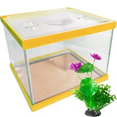 Rora Pet 繽紛多彩魚缸 + 壓克力蓋 + 人造花套組, 芒果(魚缸), 隨機出貨(人造花), 1個