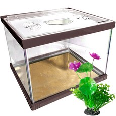 Rora Pet 繽紛多彩魚缸 + 壓克力蓋 + 人造花套組, 現代(魚缸), 隨機出貨(人造花), 1個