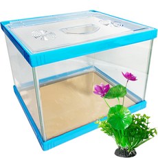 Rora Pet 繽紛多彩魚缸 + 壓克力蓋 + 人造花套組, 棉花(魚缸), 隨機出貨(人造花), 1個