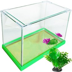 로라펫 비비드 누드 어항 + 유리 커버 + 조화 세트, 키위(어항), 랜덤발송(조화), 1개