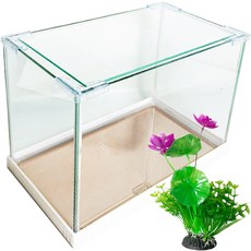 Rora Pet Vivid Nude 魚缸 + 玻璃蓋 + 人造花套組, 雪白(魚缸), 隨機出貨(人造花)