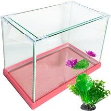 Rora Pet Vivid Nude 魚缸 + 玻璃蓋 + 人造花套組, 莓果(魚缸), 隨機出貨(人造花)