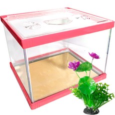 Rora Pet 繽紛多彩魚缸 + 壓克力蓋 + 人造花套組, 莓果(魚缸), 隨機出貨(人造花), 1個