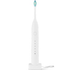 EverBleu 便攜式聲波電動牙刷, EET001